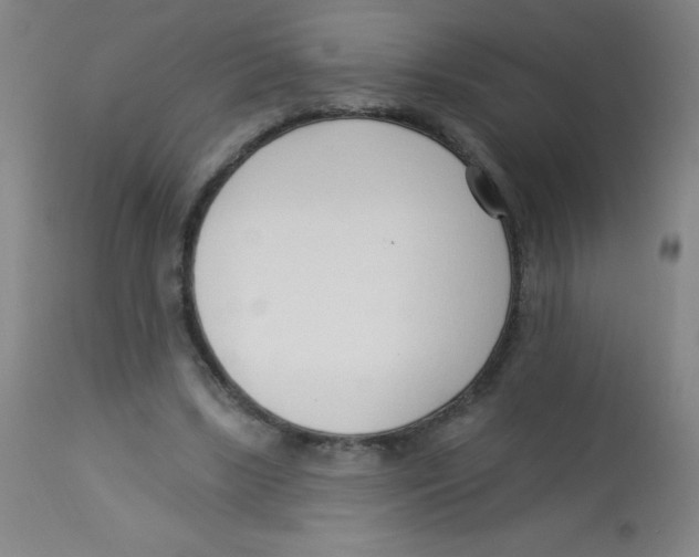 X0000113740443200910211128