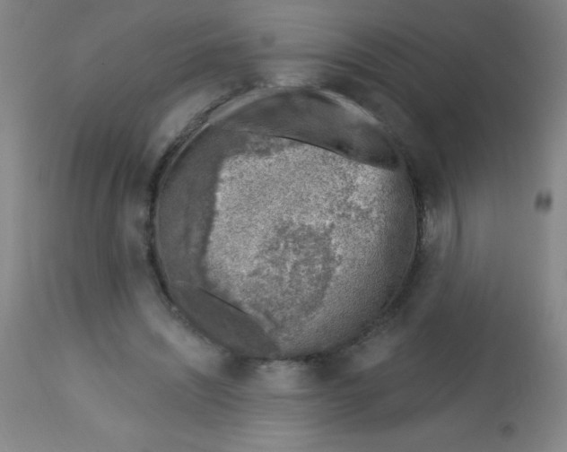 X0000113740444200910211128