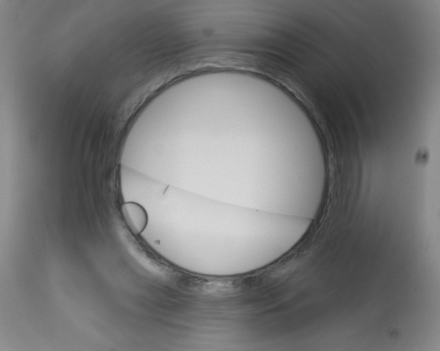 X0000113740445200910211128
