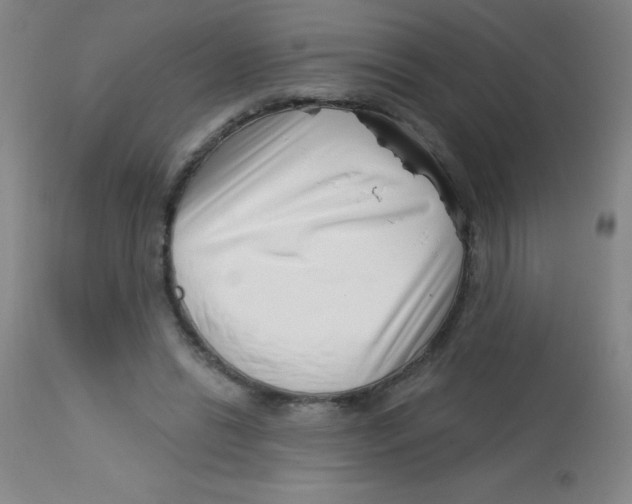 X0000113740446200910211128