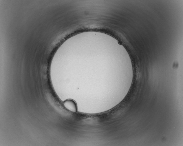 X0000113740447200910211128