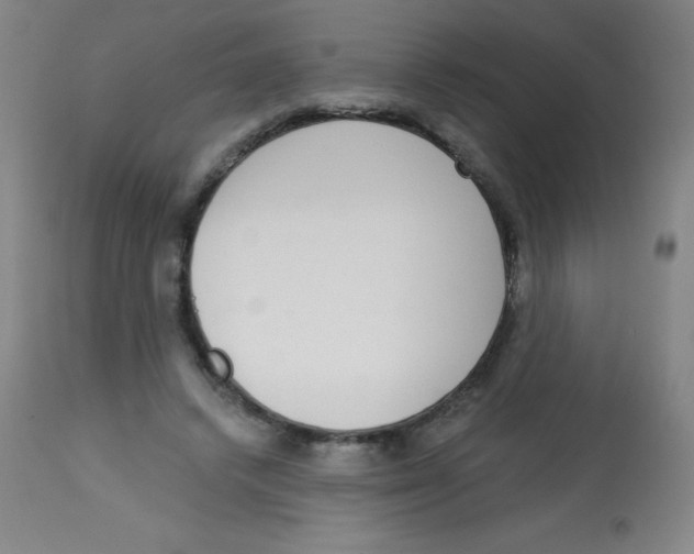 X0000113740448200910211128