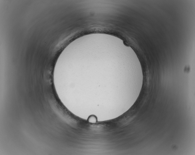 X0000113740450200910211128