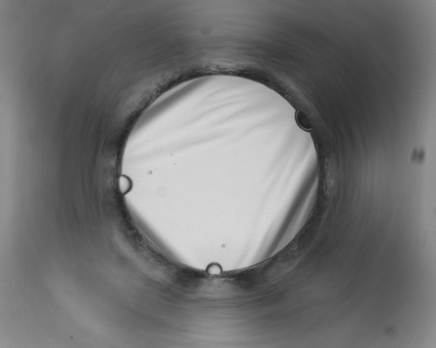 X0000113740451200910211128