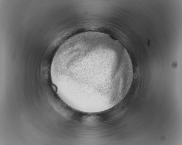 X0000113740452200910211128
