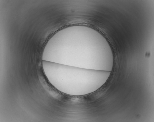 X0000113740453200910211128
