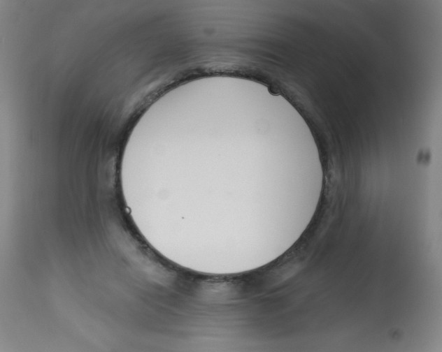X0000113740454200910211128