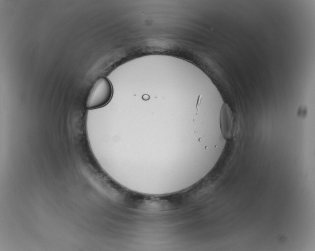 X0000113740455200910211128