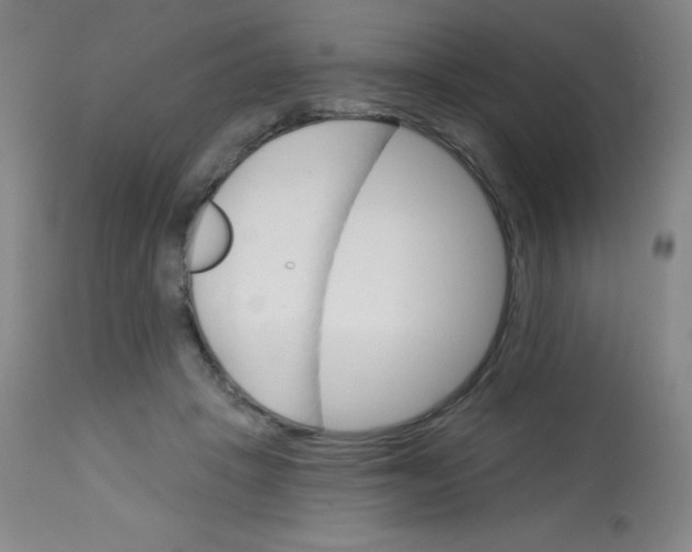 X0000113740457200910211128