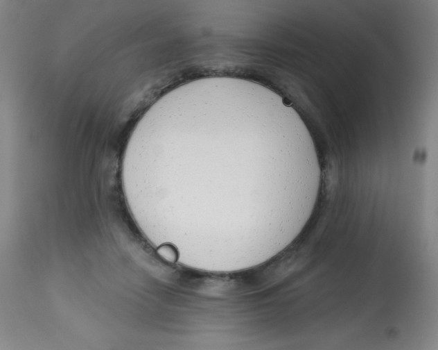 X0000113740458200910211128