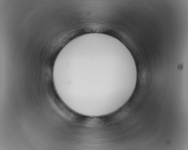 X0000113740459200910211128