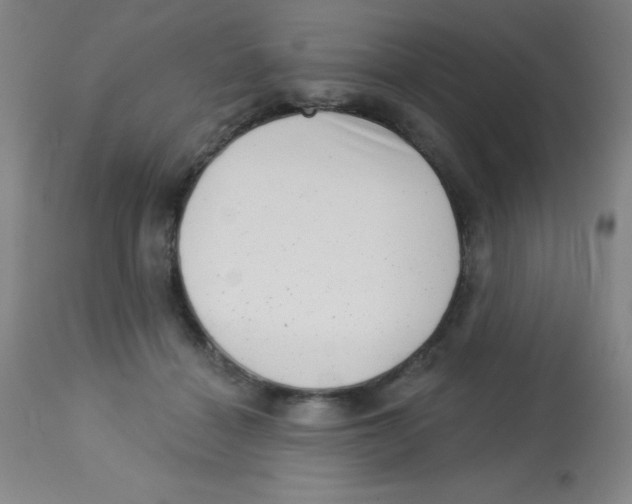 X0000113740460200910211128