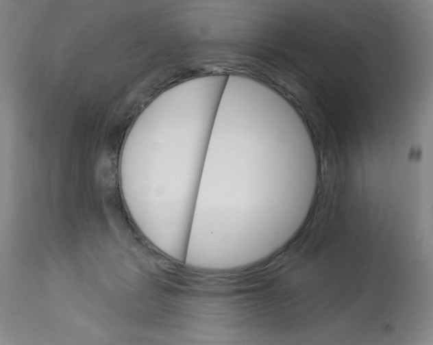 X0000113740461200910211128