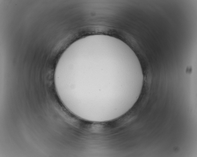 X0000113740462200910211128