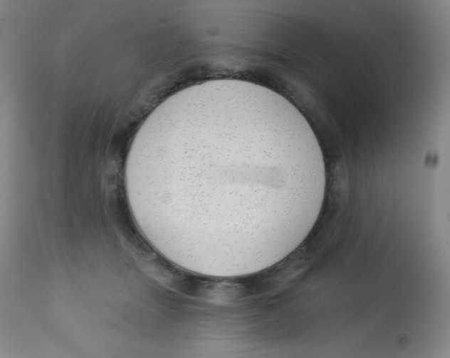 X0000113740463200910211128
