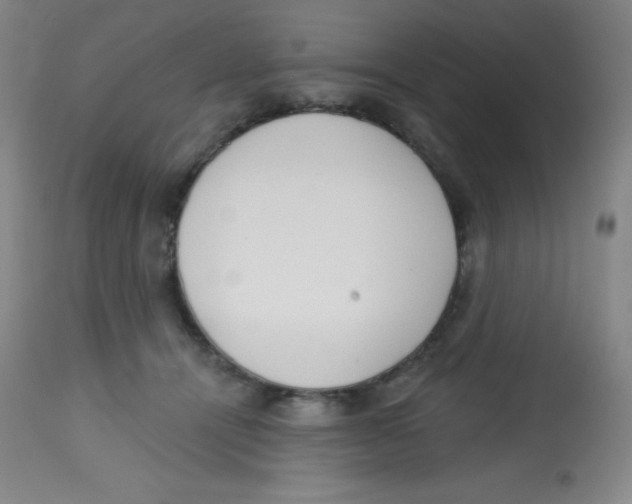 X0000113740464200910211128