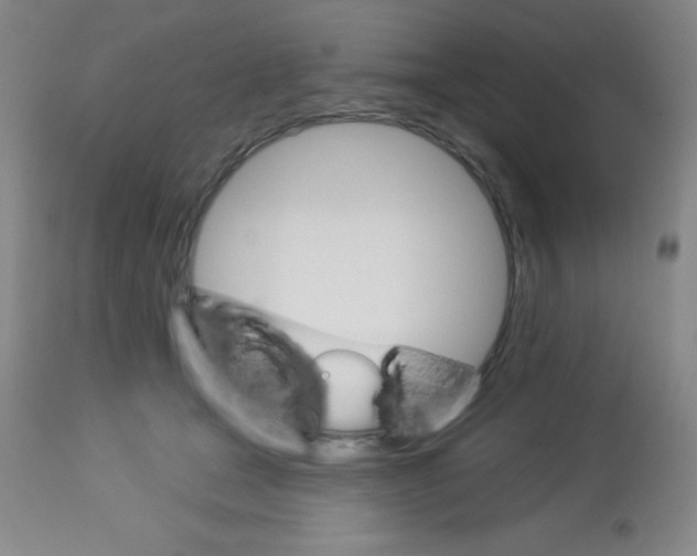 X0000113740465200910211128