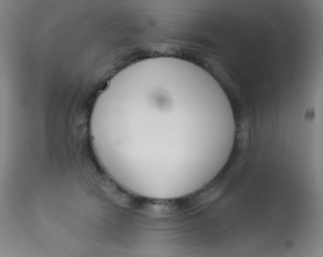 X0000113740466200910211128