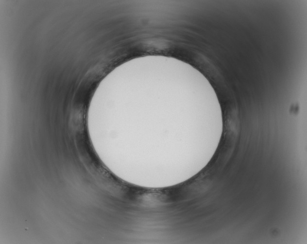 X0000113740468200910211128