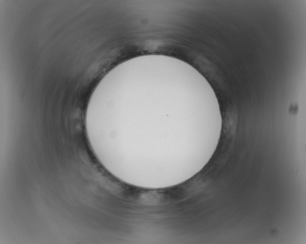 X0000113740470200910211128