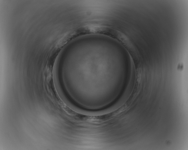 X0000113740471200910211128