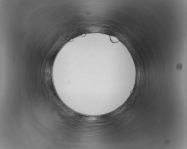 X0000113740473200910211128