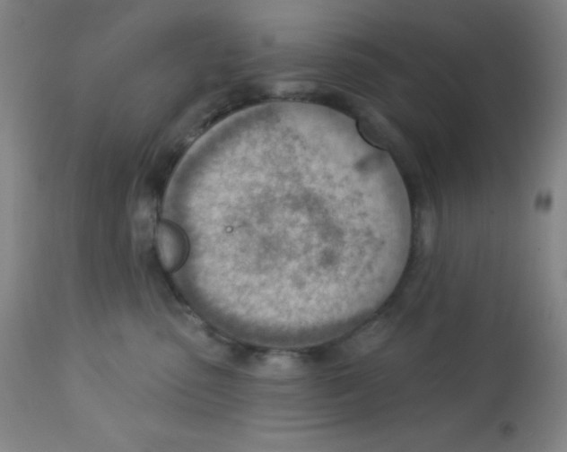 X0000113740475200910211128