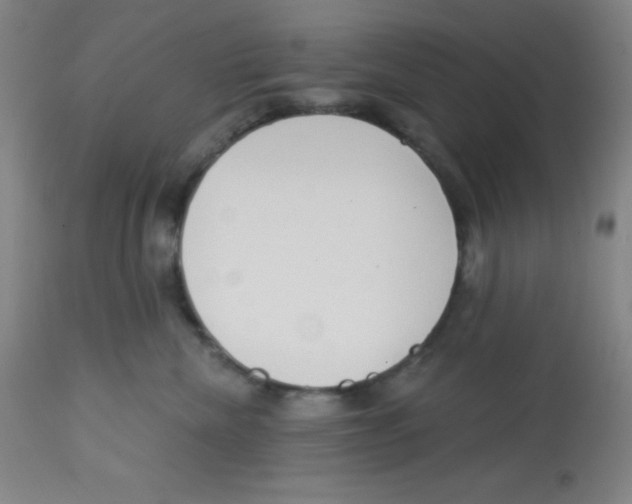X0000113740476200910211128