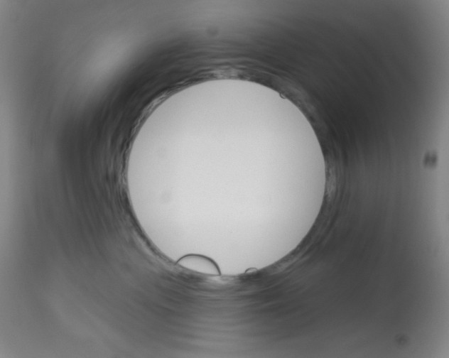 X0000113740477200910211128