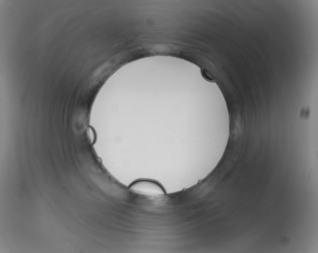 X0000113740478200910211128