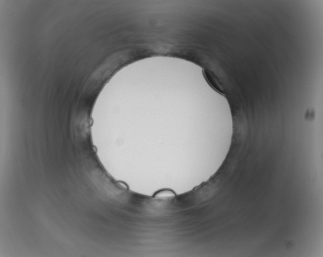 X0000113740479200910211128