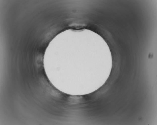 X0000113740480200910211128
