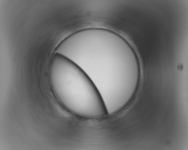 X0000113740481200910211128