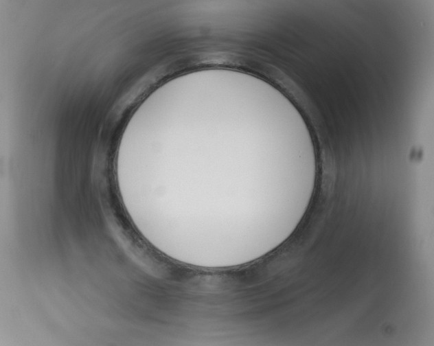 X0000113740482200910211128