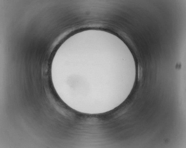 X0000113740483200910211128