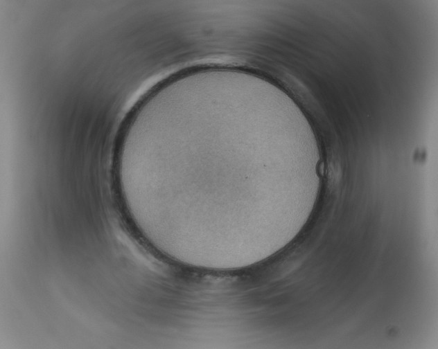 X0000113740484200910211128