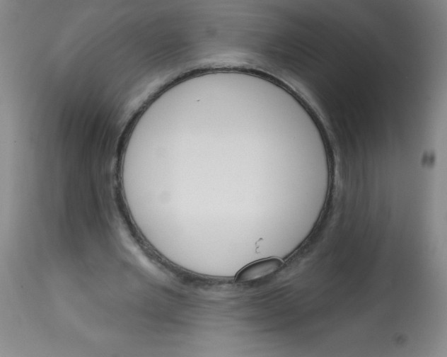 X0000113740485200910211128