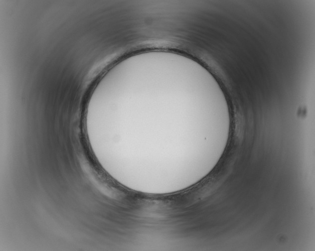 X0000113740486200910211128