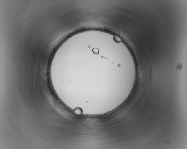 X0000113740487200910211128