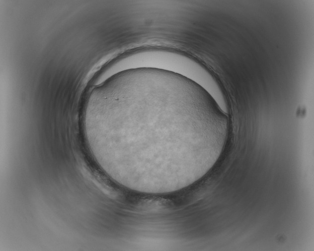 X0000113740488200910211128