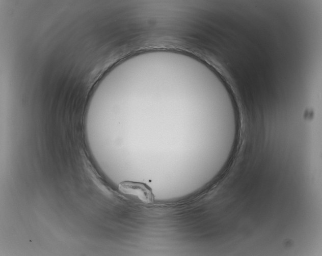 X0000113740489200910211128