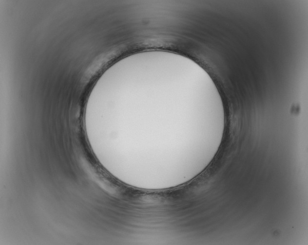 X0000113740490200910211128
