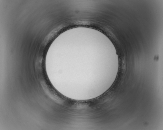 X0000113740491200910211128