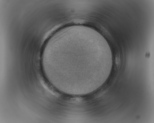 X0000113740492200910211128