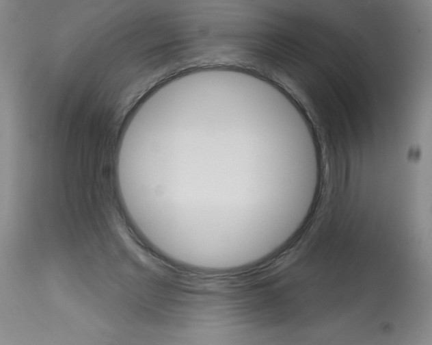 X0000113740493200910211128