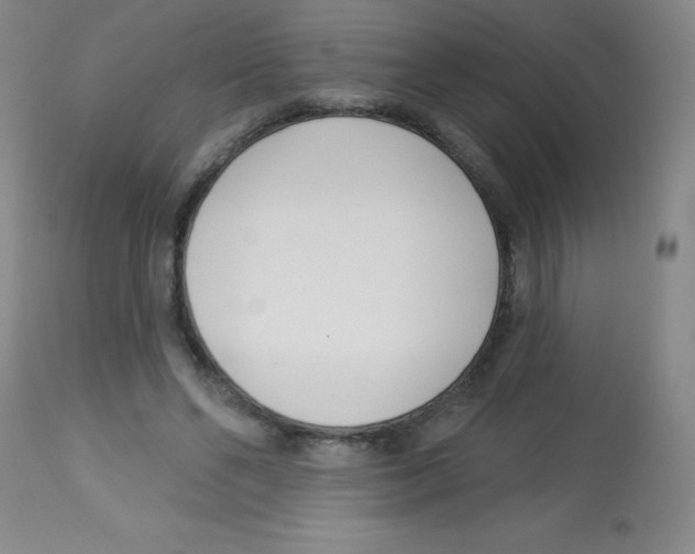 X0000113740494200910211128