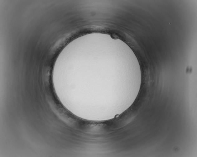 X0000113740495200910211128