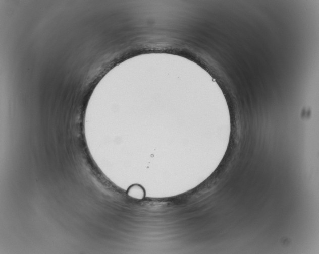 X0000113740497200910211128