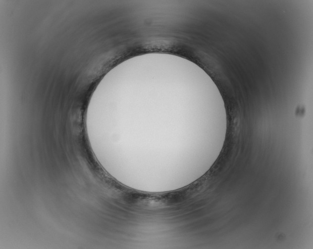 X0000113740498200910211128