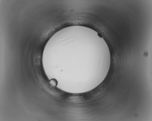 X0000113740499200910211127